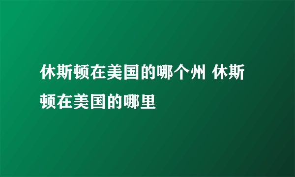 休斯顿在美国的哪个州 休斯顿在美国的哪里