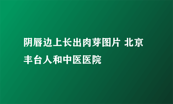 阴唇边上长出肉芽图片 北京丰台人和中医医院