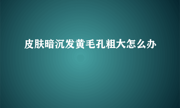 皮肤暗沉发黄毛孔粗大怎么办