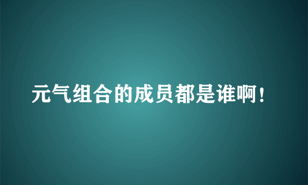 元气组合的成员都是谁啊！