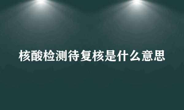 核酸检测待复核是什么意思