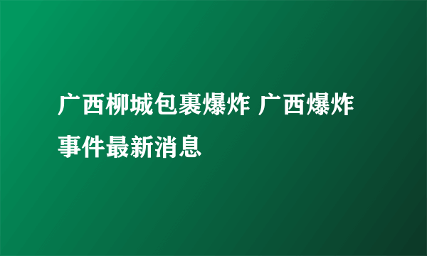 广西柳城包裹爆炸 广西爆炸事件最新消息