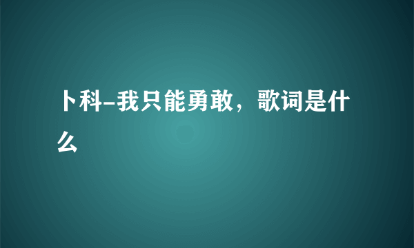 卜科-我只能勇敢，歌词是什么