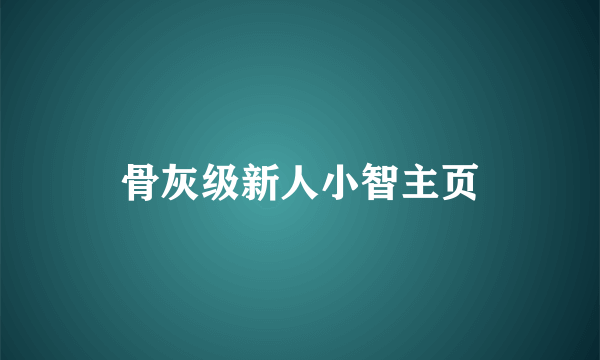 骨灰级新人小智主页