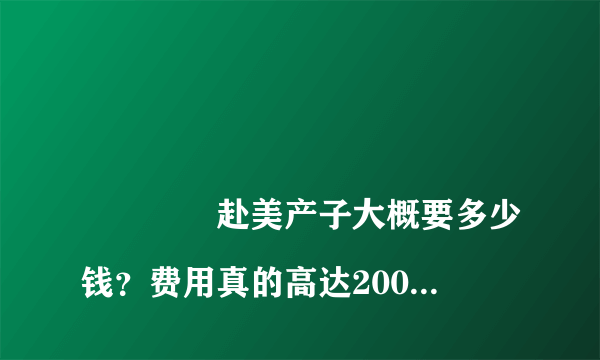 
				赴美产子大概要多少钱？费用真的高达200万吗？
			