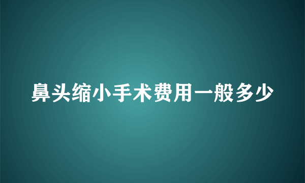 鼻头缩小手术费用一般多少