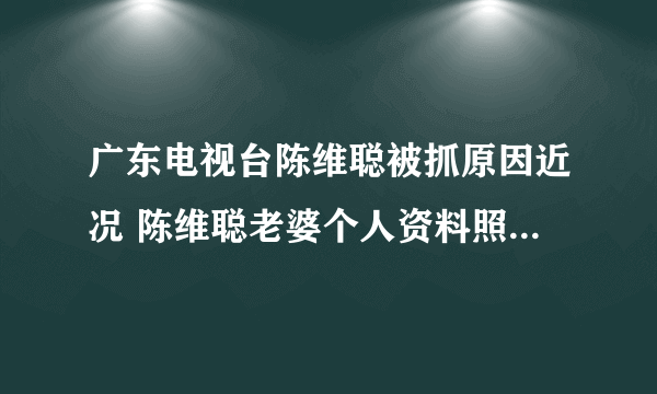 广东电视台陈维聪被抓原因近况 陈维聪老婆个人资料照片是哪里人