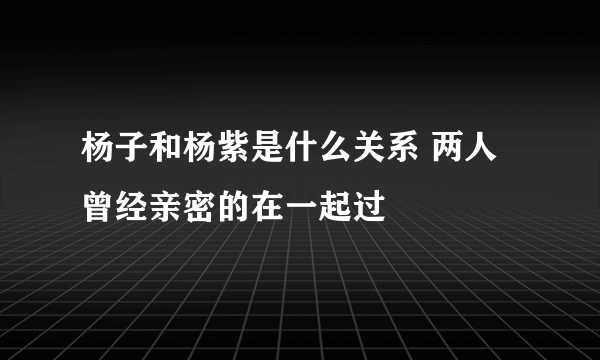 杨子和杨紫是什么关系 两人曾经亲密的在一起过