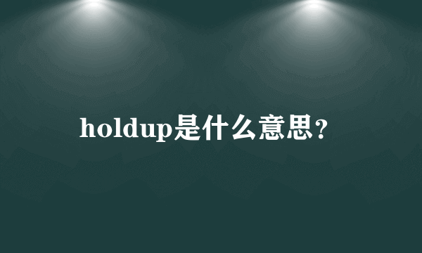 holdup是什么意思？