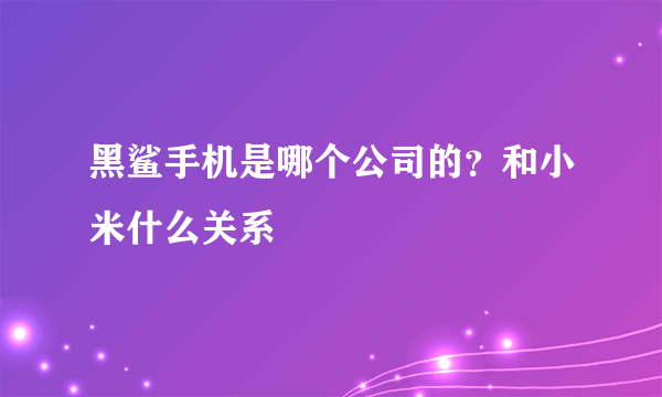 黑鲨手机是哪个公司的？和小米什么关系