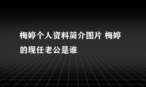 梅婷个人资料简介图片 梅婷的现任老公是谁