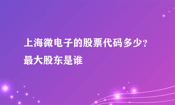 上海微电子的股票代码多少？最大股东是谁