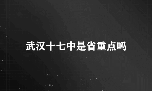 武汉十七中是省重点吗