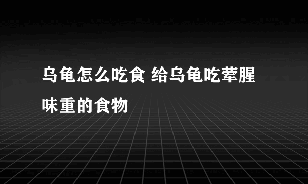 乌龟怎么吃食 给乌龟吃荤腥味重的食物