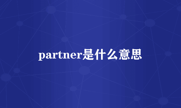 partner是什么意思