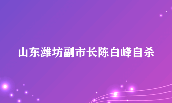 山东潍坊副市长陈白峰自杀