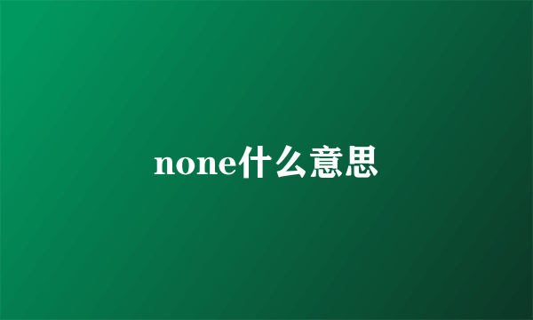 none什么意思