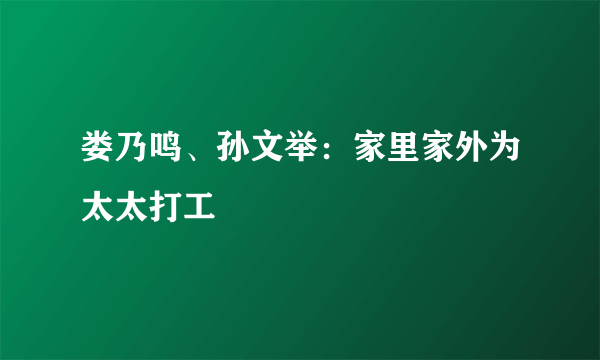 娄乃鸣、孙文举：家里家外为太太打工