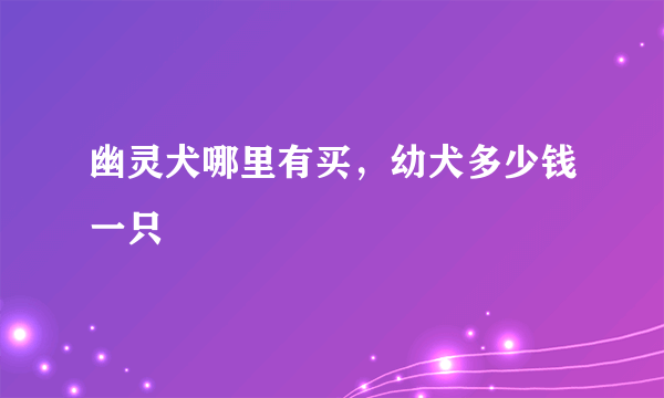 幽灵犬哪里有买，幼犬多少钱一只