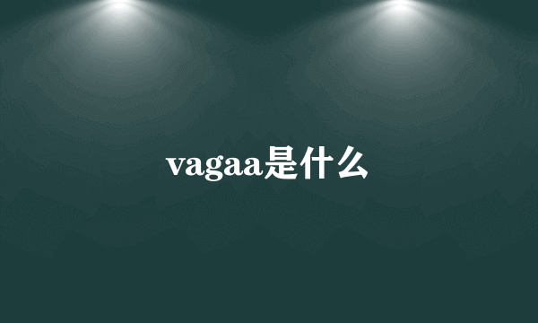 vagaa是什么