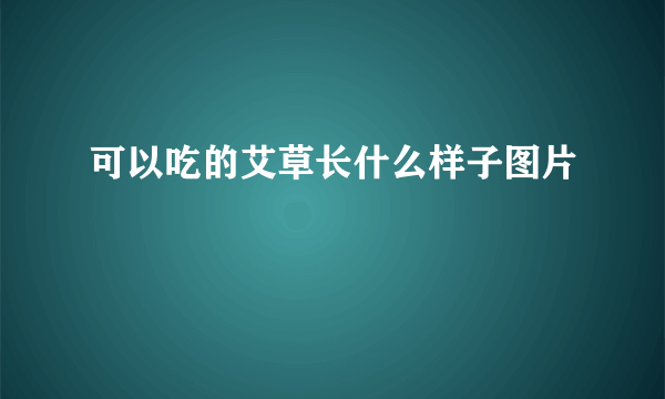 可以吃的艾草长什么样子图片