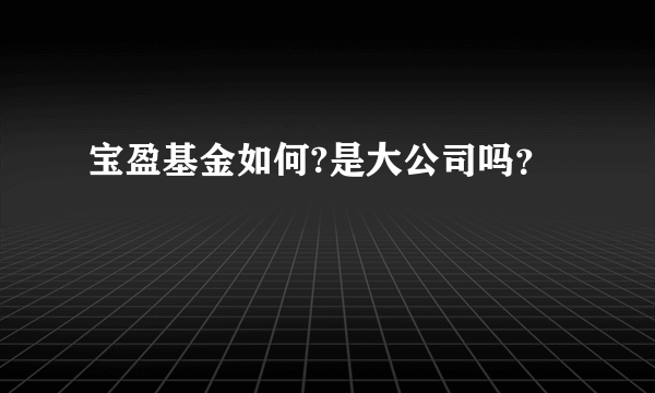 宝盈基金如何?是大公司吗？