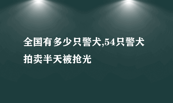 全国有多少只警犬,54只警犬拍卖半天被抢光