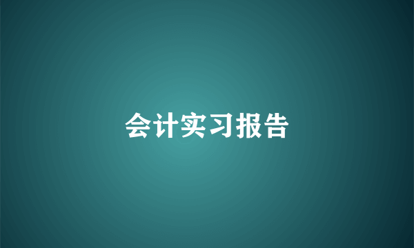 会计实习报告