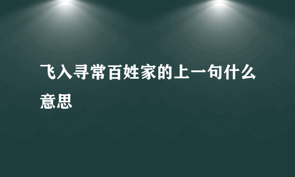 飞入寻常百姓家的上一句什么意思