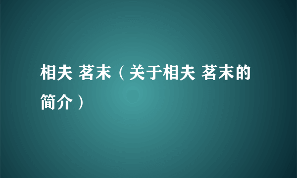 相夫 茗末（关于相夫 茗末的简介）