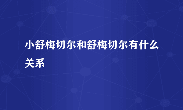 小舒梅切尔和舒梅切尔有什么关系