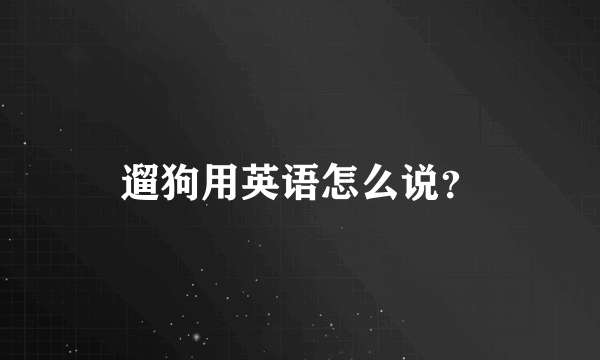 遛狗用英语怎么说？