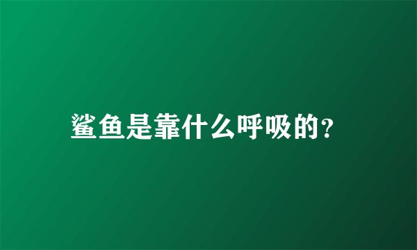 鲨鱼是靠什么呼吸的？