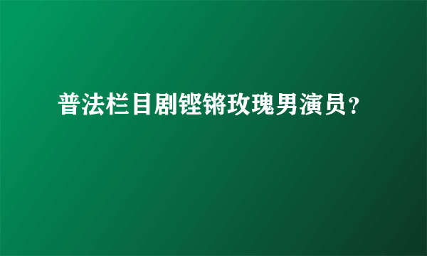 普法栏目剧铿锵玫瑰男演员？