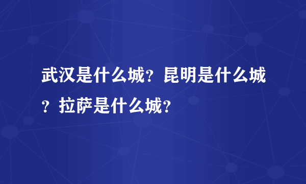 武汉是什么城？昆明是什么城？拉萨是什么城？