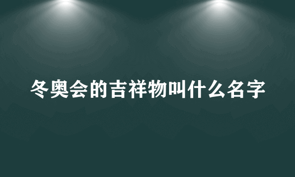 冬奥会的吉祥物叫什么名字