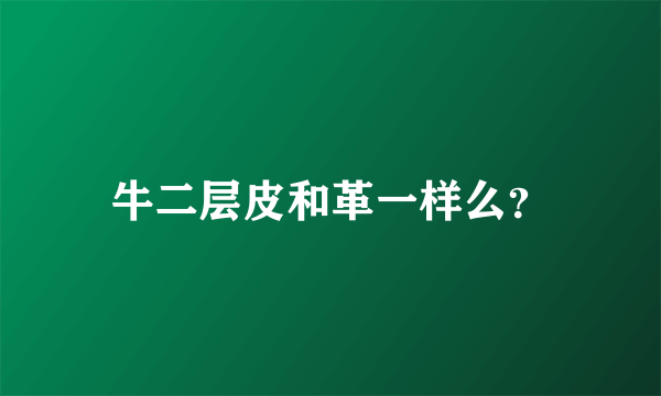 牛二层皮和革一样么？