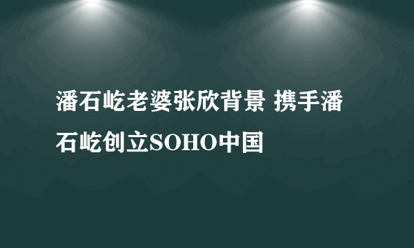 潘石屹老婆张欣背景 携手潘石屹创立SOHO中国