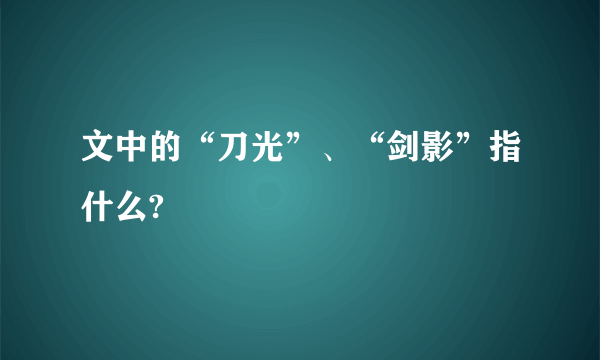 文中的“刀光”、“剑影”指什么?