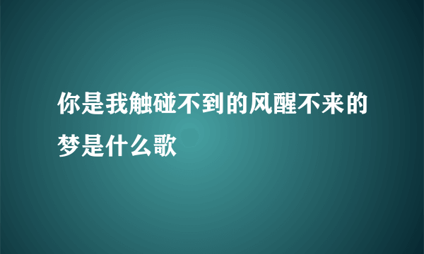 你是我触碰不到的风醒不来的梦是什么歌