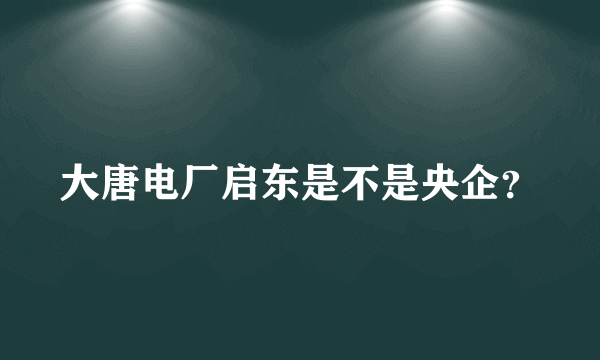 大唐电厂启东是不是央企？