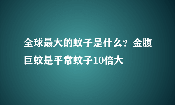 全球最大的蚊子是什么？金腹巨蚊是平常蚊子10倍大