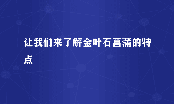 让我们来了解金叶石菖蒲的特点