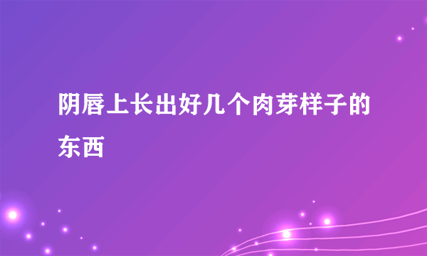 阴唇上长出好几个肉芽样子的东西