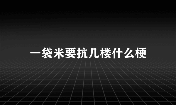 一袋米要抗几楼什么梗