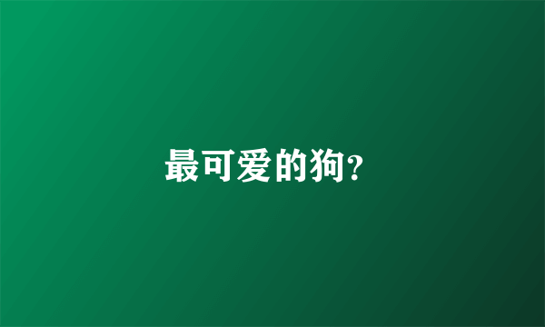 最可爱的狗？