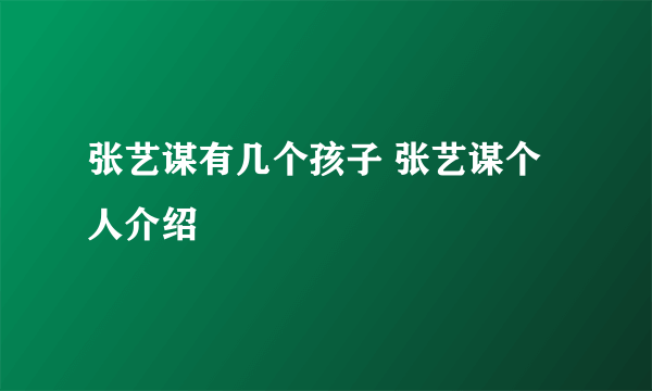 张艺谋有几个孩子 张艺谋个人介绍