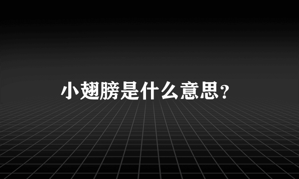 小翅膀是什么意思？