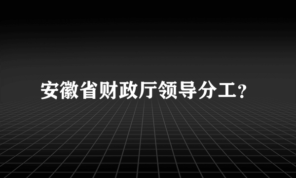 安徽省财政厅领导分工？