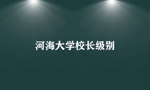 河海大学校长级别